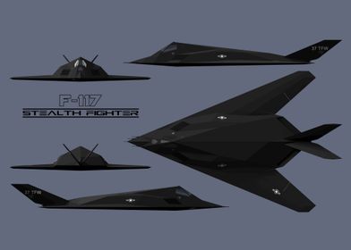 F-117 Nighthawk Stealth Fighter