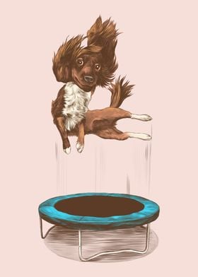 Dog Jumping Trampoline