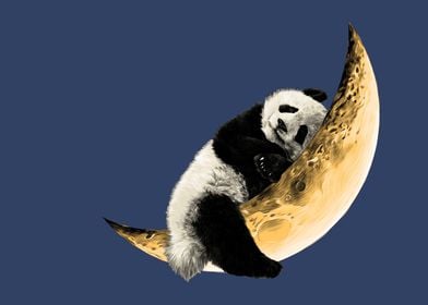 Panda Sleeps on the Moon