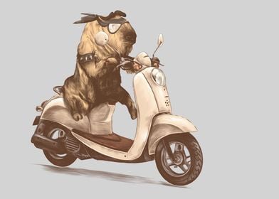 Bull Scooter Motorcycle