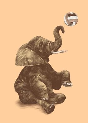 Elephant Playing Ball