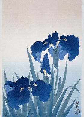 Iris Flowers by Ohara Koson