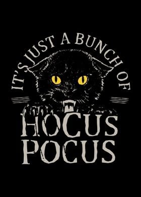 Hocus Black Cat