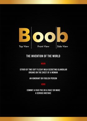 Boob definition