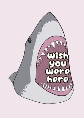 Wish You Were Here Shark