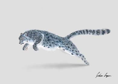 Snow Leopard Leap