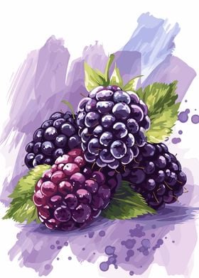 Blackberry Illustration