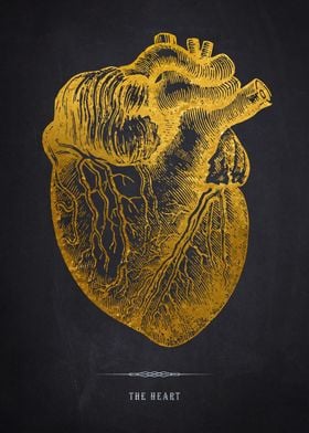 Golden Anatomical Heart