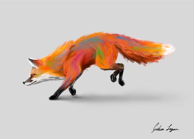 Colorful Fox in Motion