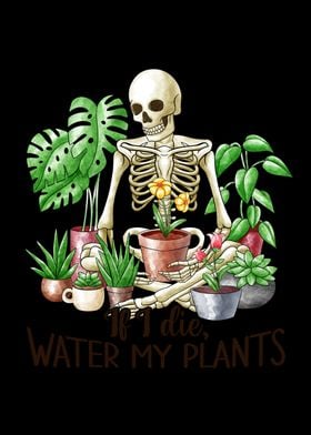 Skeleton Plant Lover