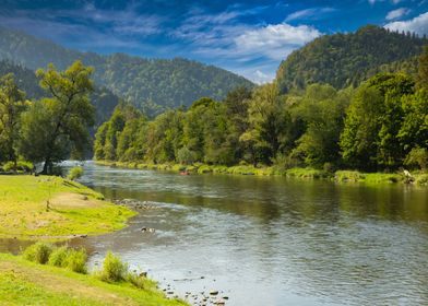 River Winding Through Forest