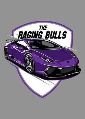 The Raging Bulls