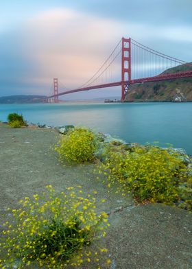 Golden Gate Summer