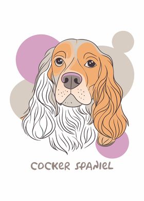 Cocker Spaniel Portrait