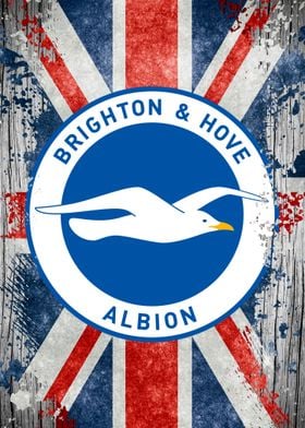 Brighton & Hove Albion Logo