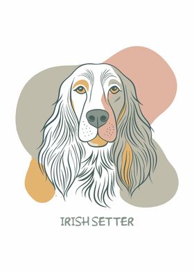 Irish Setter Dog Illustration