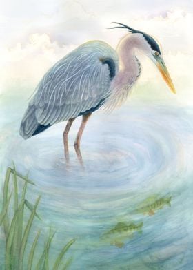 Great Blue Heron