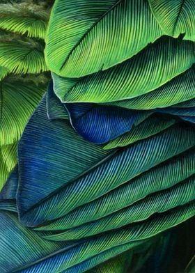 Blue Green Feathers