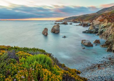 California Coast Summer