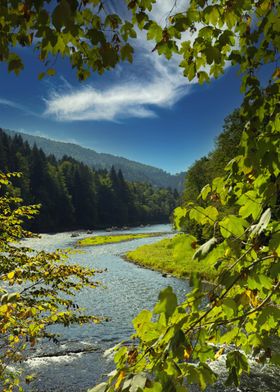 River Winding Through Forest