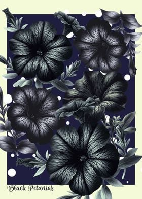 Black Petunia Floral Print