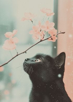 Black cat and Sakura