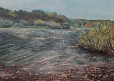 Riverbank Landscape