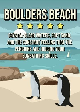 Funnny Boulders Beach Penguins Review