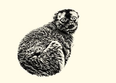 Black and White Lemur Illustration