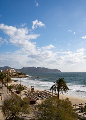 Beach and Palms 