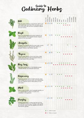 Guide to Culinary Herbs