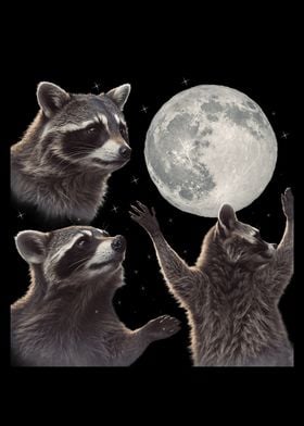 Raccoons Reaching for the Moon