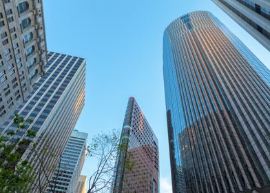 Cityscape with Tall Buildings