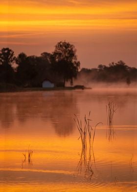 Foggy morning