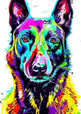 German Shepherd 