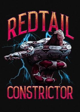 Redtail Boa Constrictor Snake Graphic