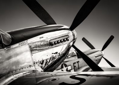 P-51 Mustang Close-Up