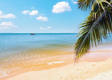 Tropical Beach Scene