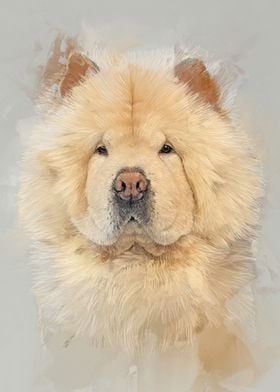 Chow Chow Portrait