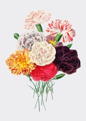 Colorful Carnation Bouquet