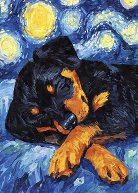 Rottweiler Puppy Sleeping Starry Night