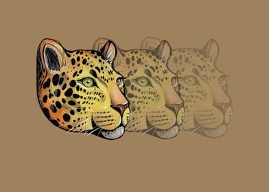 Leopard Portrait Triptych