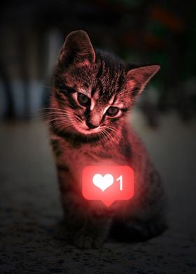 Cute Kitten with Like Icon