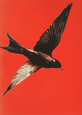 Black Bird on Red