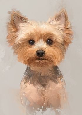 Yorkshire Terrier Portrait