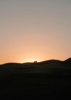 Desert Sunset Silhouette