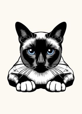 Siamese Cat