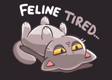 Feline Tired