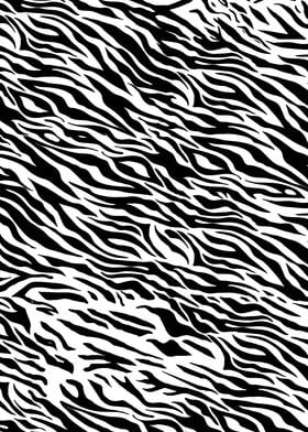 Zebra Stripes Pattern