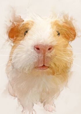 Cute Guinea Pig Portrait